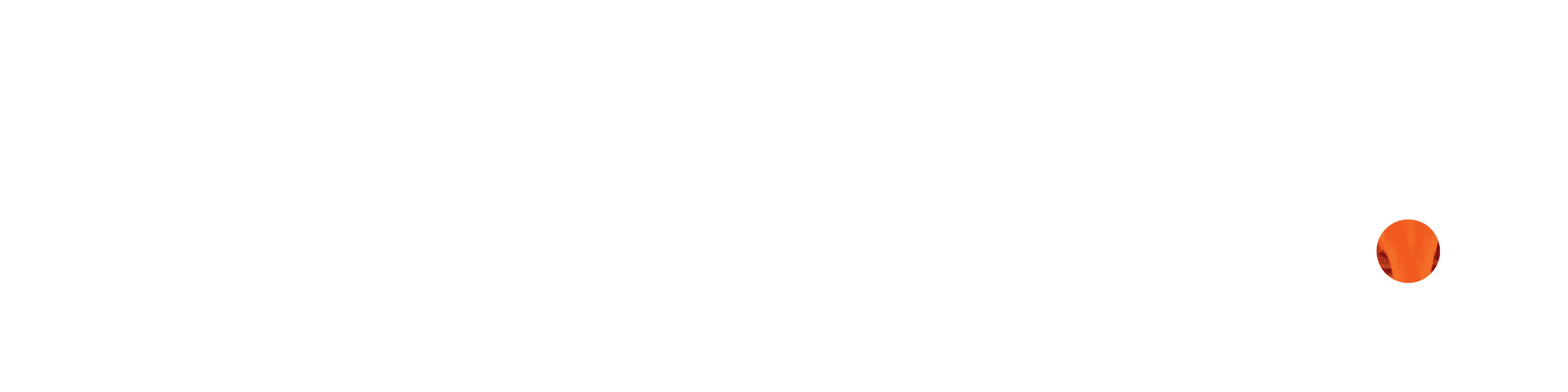BullionLink BullionLink